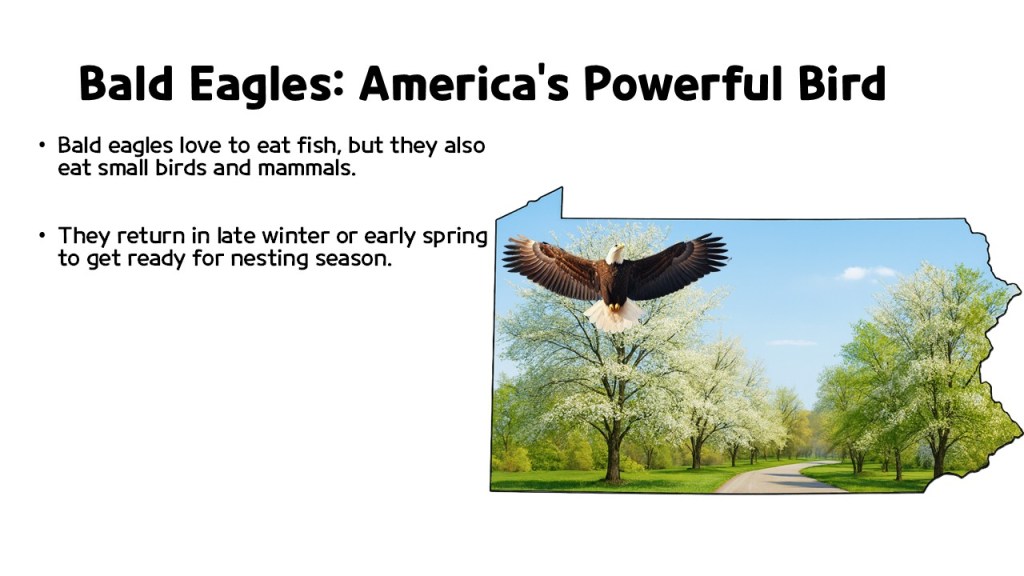 A bald eagle soaring over a green landscape with blossoming trees, alongside informational text about its feeding habits and nesting season.