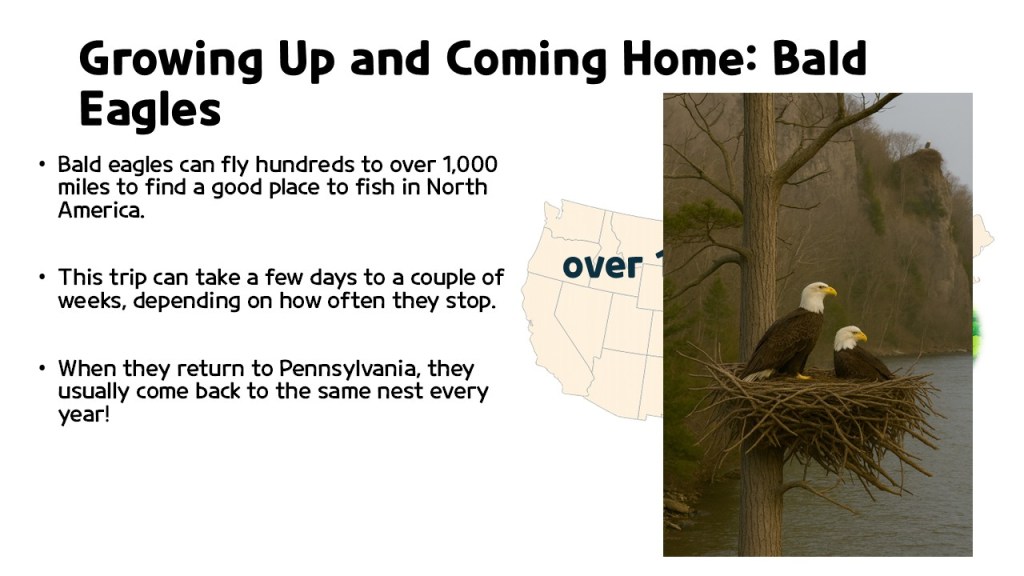 A pair of bald eagles in their nest, perched on a tree near a river, with a map of North America in the background.