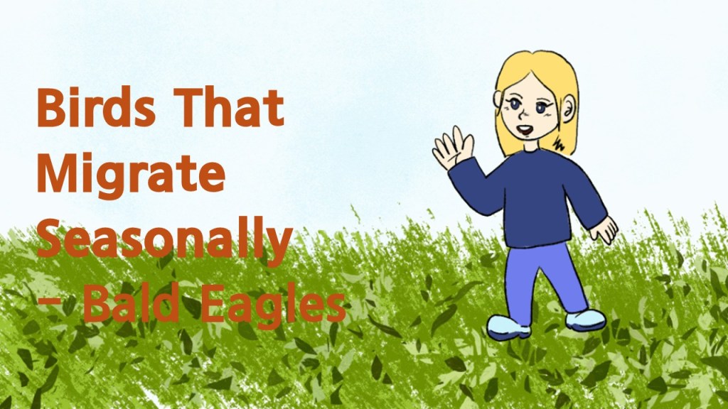 An illustrated child with blonde hair wearing a blue shirt and light blue shoes, standing in a grass field and waving, with the text 'Birds That Migrate Seasonally – Bald Eagles' in brown font.