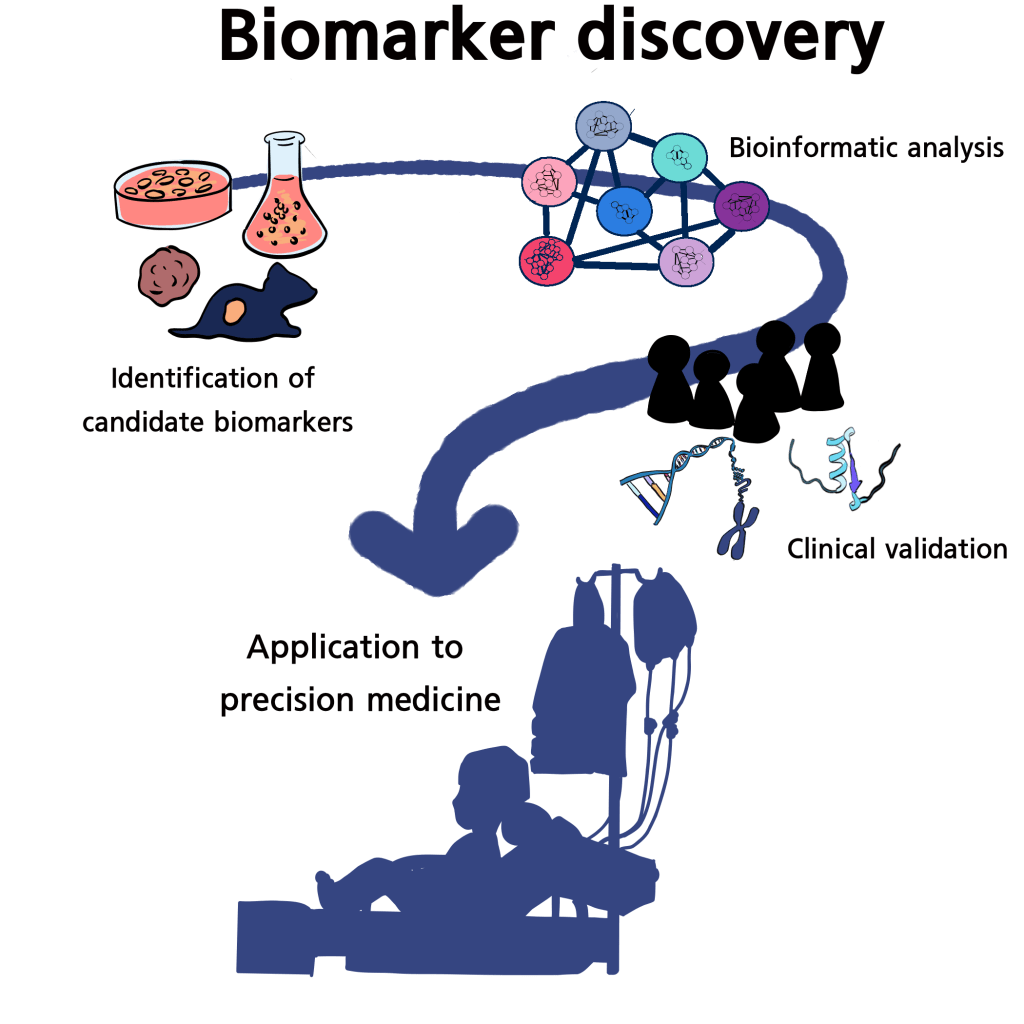 An infographic illustrating the biomarker discovery process, including stages like identification of candidate biomarkers, bioinformatic analysis, clinical validation, and application to precision medicine, featuring various icons representing laboratory work and patient care.