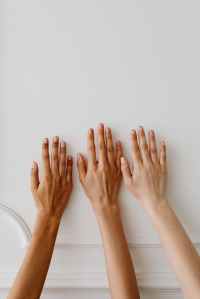 a group of person s hand