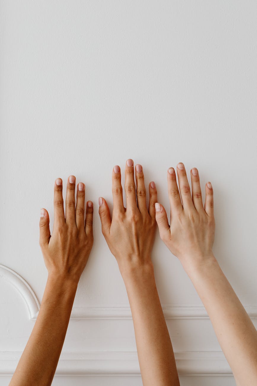 a group of person s hand