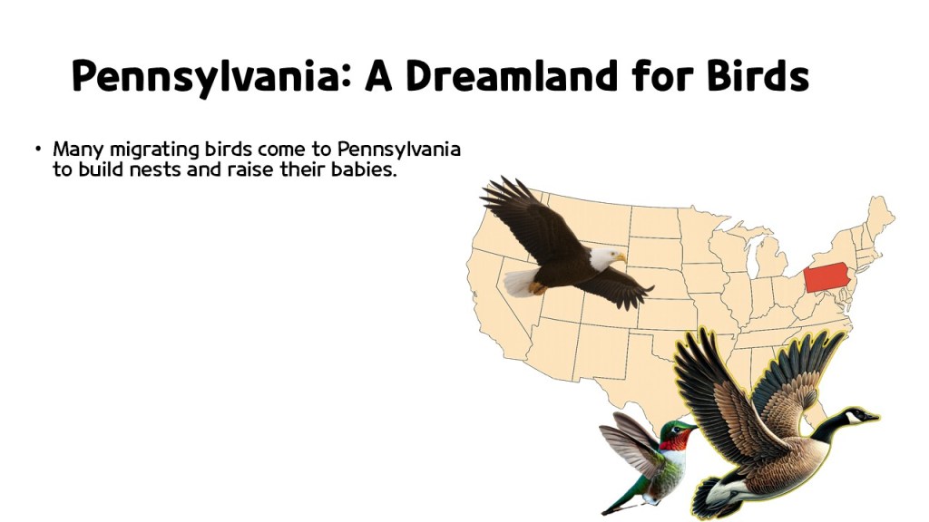 Illustration of a map of Pennsylvania with various migrating birds, including a bald eagle, hummingbird, and Canada geese, along with text highlighting Pennsylvania as a breeding ground for birds.