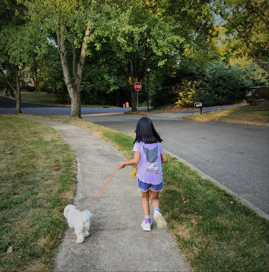 Dog Body Language, Part 1