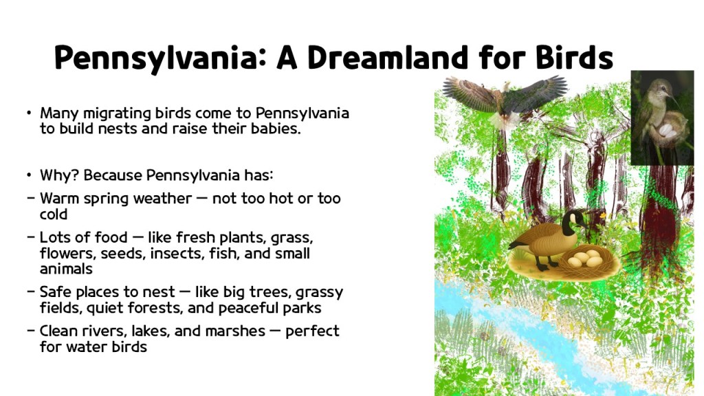 Illustration titled 'Pennsylvania: A Dreamland for Birds' featuring a serene forest scene, various migratory birds, a nest with eggs, and a river, with bullet points outlining the reasons Pennsylvania is ideal for birds.