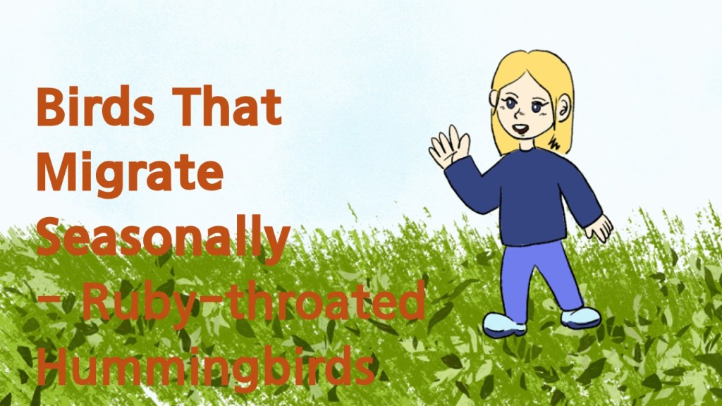 An illustrated character with blonde hair, wearing a blue shirt and light blue shoes, is standing on green grass, waving. The text on the image reads 'Birds That Migrate Seasonally – Ruby-throated Hummingbirds'.